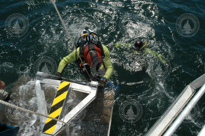 Divers jump in the water.