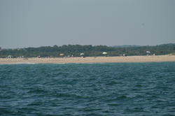 Offshore view of a Martha's Vineyard beach.