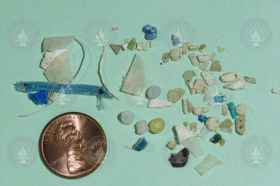 Collected plastic samples compared in size to a penny.