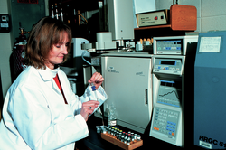 Maureen Conte working in the lab.