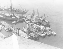 Atlantis, Anton Dohrn, Mytilus, Asterias, Reliance, and Risk at WHOI dock.