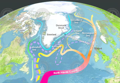 Diagram showing the flow of the North Atlantic and Norwegian Atlantic Currents.