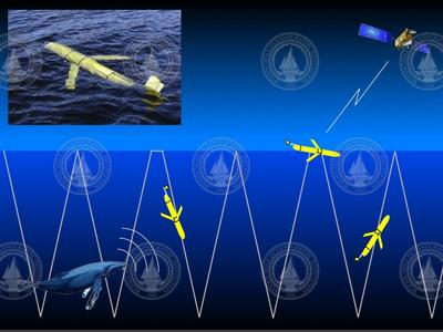 Slocum glider mission detecting-transmitting marine mammal sounds.