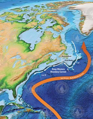 Map showing location of Line "W" ocean observatory system.