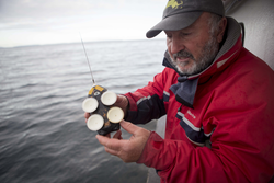 Alex Bocconcelli holding the tag used on the blue whales.