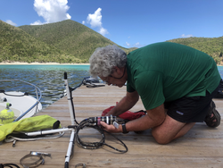 Rod Catanach setting up a custom 4-channel soundscape recorder in USVI.
