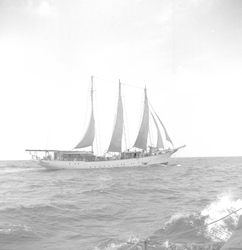 Full view of Vema, under sail