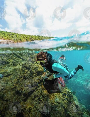 Kalina Grabb sampling a coral reef with a DISCO unit.