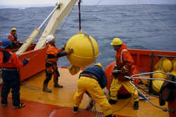 Scott Worrilow handling a float during a mooring deployment.