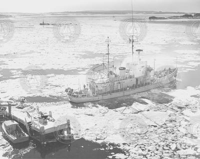 Crawford in ice filled harbor