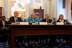 The Witness Panel at the Senate subcommittee hearing. Names below.