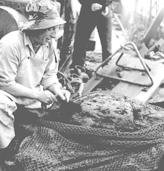 Gene Mysona working with nets on deck of Caryn.