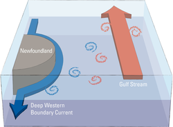 Opposing currents, Deep Western Boundary Current and Gulf Stream.