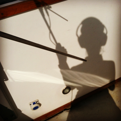 Shadow of a Julie van der Hoop listening for a Dtag signal.