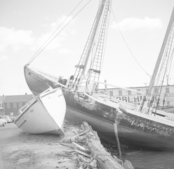 Schooner Marjorie Parker in Fairhaven after Hurricane Carol.