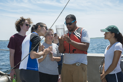 Students examine the container of recovered plankton.