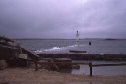 Fisheries during Hurricane Brenda.