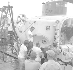 Group working on Sea Cliff