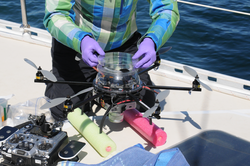 Amy Apprill outfitting the drone with whale blow sampling equipment.