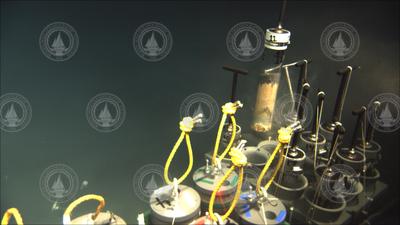 Image from ROV Jason operating at depth during Dive and Discovery 14.