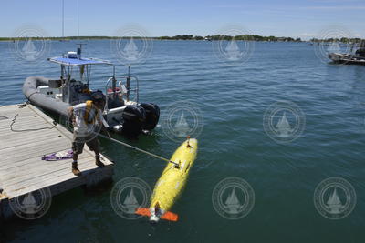 Daniell Bogorff monitors REMUS 6000 during dock tests.