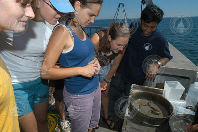 Students looking at samples retrieved.
