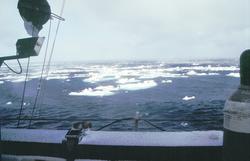 Ice floe in the Labrador Sea.
