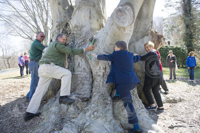 Event participants hugging the tree in celebration.