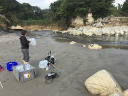 WHOI postdoc Virginie Sanial sampling groundwater in Japan.