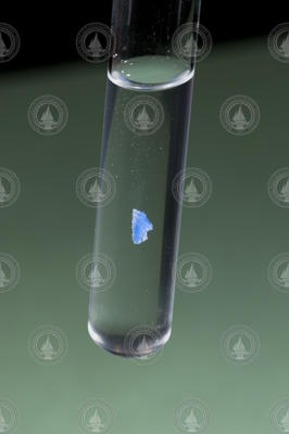 Plastic sample floating in test tube liquid.