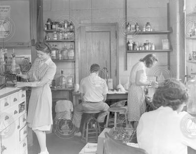 People working in a Bigelow building laboratory.