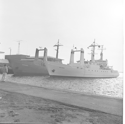 Oceanus and Wecoma at WHOI dock.