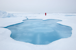 A large melt pond amid the Arctic ice.