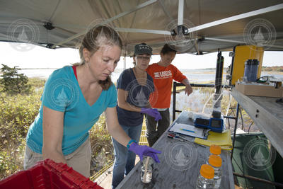 Kate Morkeski, Mallory Ringham, and Sandy Baldwin working in the field.
