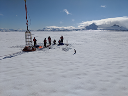 Penguin observing Ben Van Mooy and his team work in icy Antarctica.