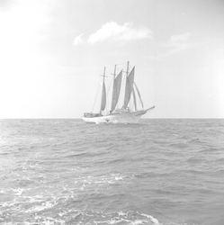 Vema at sea, under sail