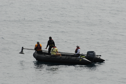 Michael Moore and associates sample whale blow holes using "breathalyzer".