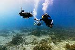 Yogi Girdhar and Jessica Todd (back) swimming with WARP-AUV (Curious Robot.)