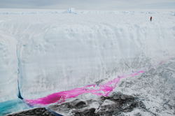 Pinkish red dye in water draining through a moulin.