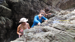 Li Ling, Liz Drenkard and Whitney Bernstein recording the location of limpets.