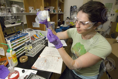 Ellen Murphy works with plastic samples found in the ocean.