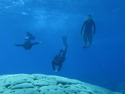 Alice Alpert, Liz Drenkard, and Kelsie Ernsberger snorkeling over coral reef.