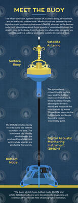 Illustration of DMON buoy system