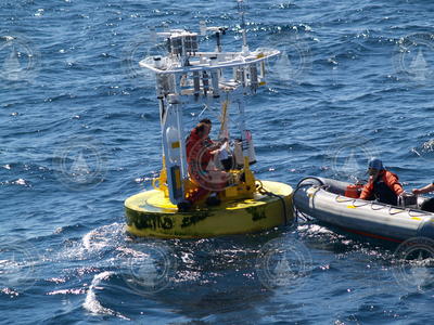 Jeff Lord and Frank Bahr repairing the gulf stream buoy in the water.