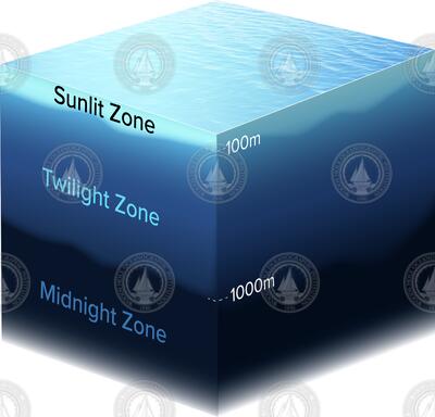 Sunlit Zone, Twilight Zone, and Midnight Zone locations in the water column.
