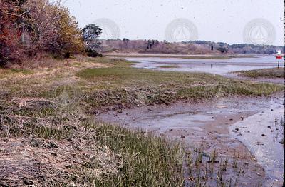 Wild Harbor River.