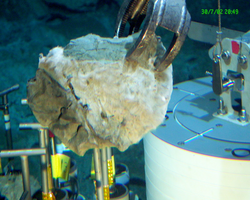 Manipulator arm grabbing a rock during Alvin dive 3814.