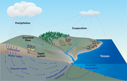 Schematic illustration of ground water cycle.