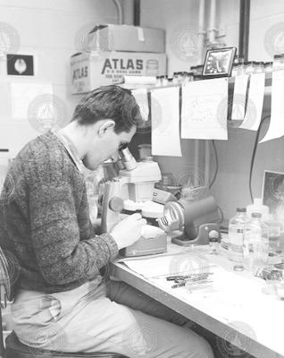 Rudolf Scheltema working in Biology laboratory