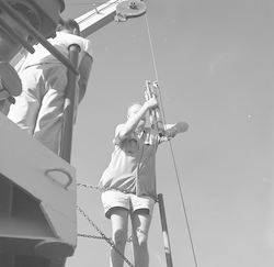Robert Stanley putting Nansen bottle on hydrowire on the RV Chain.